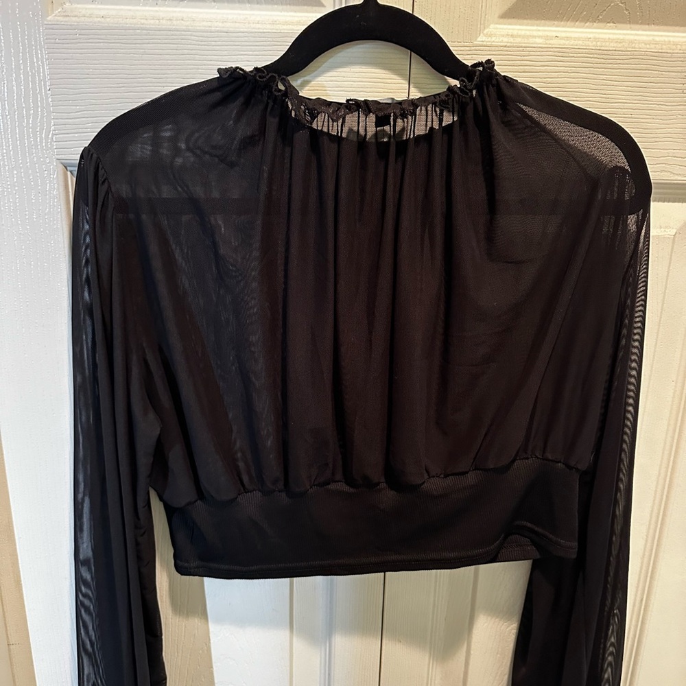 Plus Size Sheer Fashion Nova Crop Top